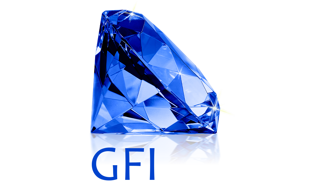 GEM FORT INTERNATIONAL