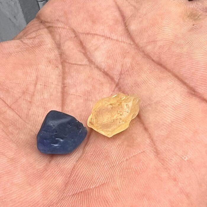 WhatsApp Image 2025-09-15 at 1.28.40 PM