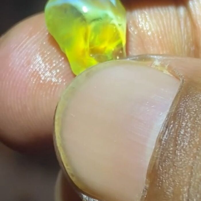 WhatsApp Image 2025-09-15 at 1.29.12 PM (1)