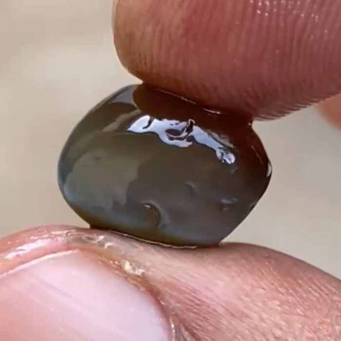 WhatsApp Image 2025-09-15 at 1.29.12 PM